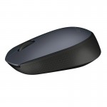 Մկնիկ Logitech M170